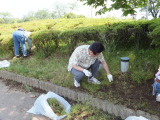 石岡市の柏原池公園で清掃ボランティア