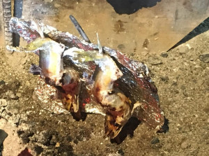 常陸大宮市の『家和楽』で、久慈川の鮎の塩焼き定食を頂きました