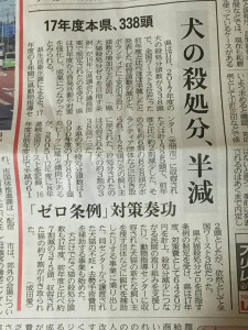 茨城新聞に、犬の殺処分半減という記事が出ました。
